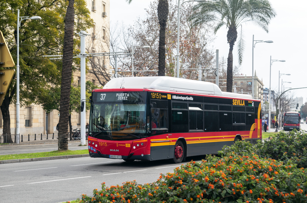 Avisos y Horarios especiales | TUSSAM - Transportes Urbanos de Sevilla, SAM