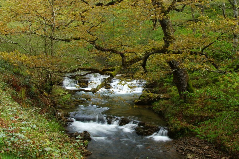 Parque Natural Saja Besaya, Parques Naturales de Cantabria