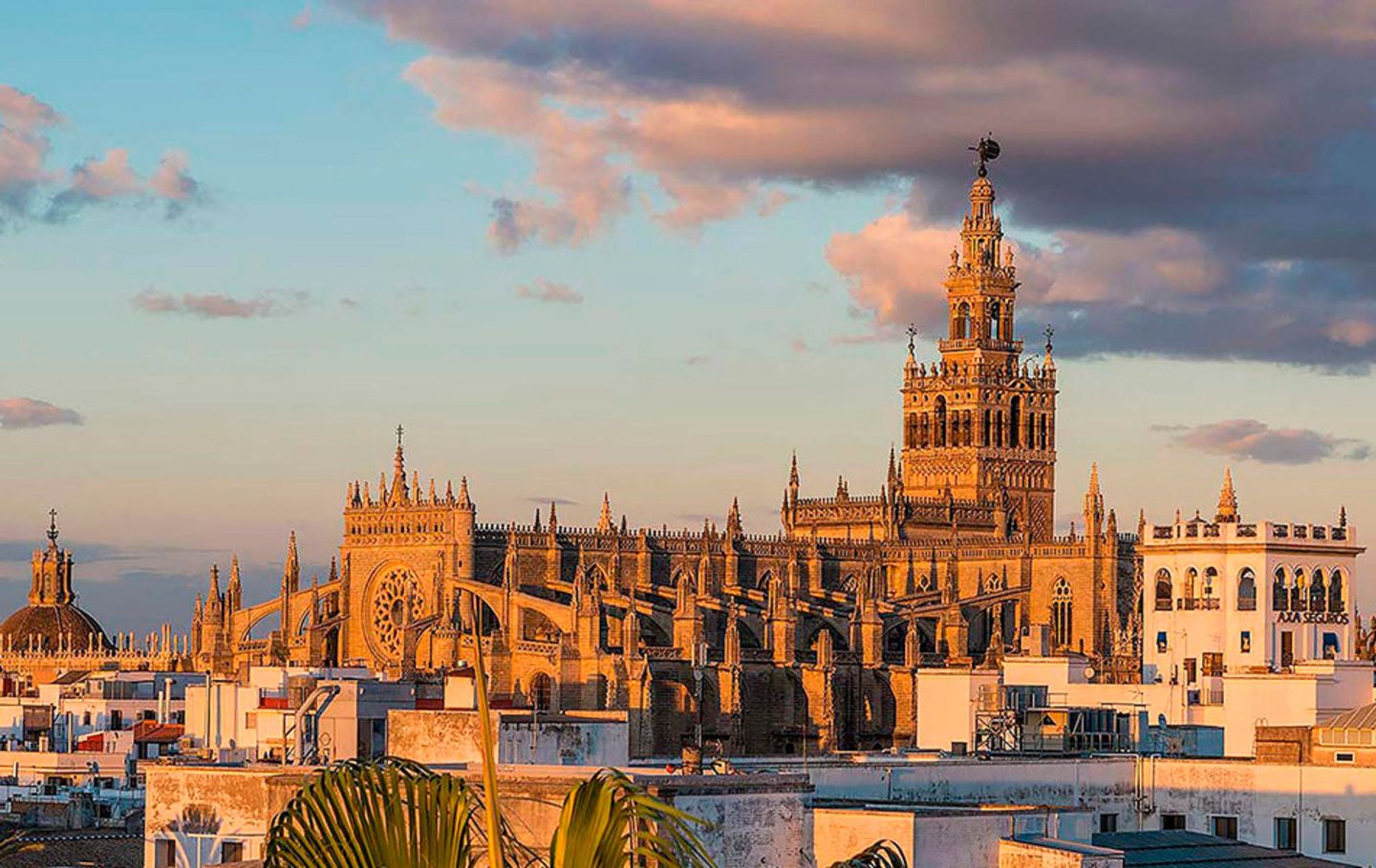 Discover La Giralda and the Cathedral of Seville